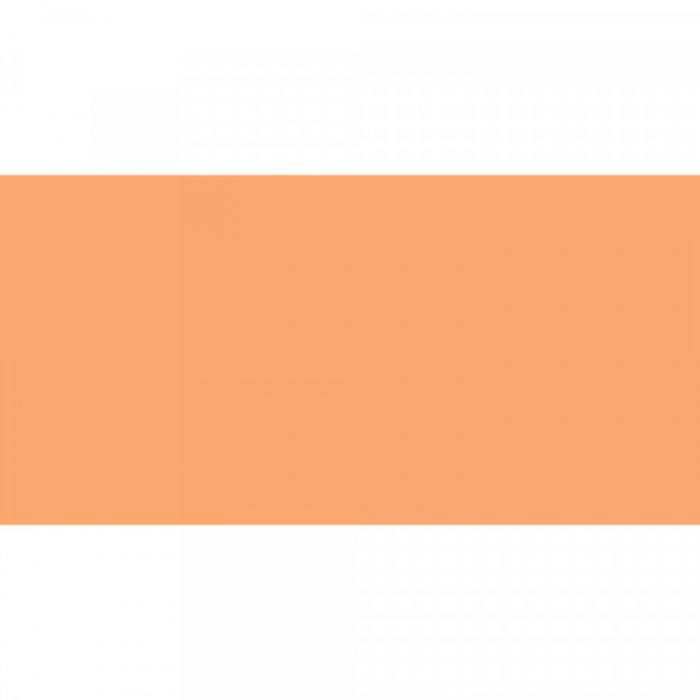 Caran d'Ache NeoColor II Apricot Vaxakvarellkrita