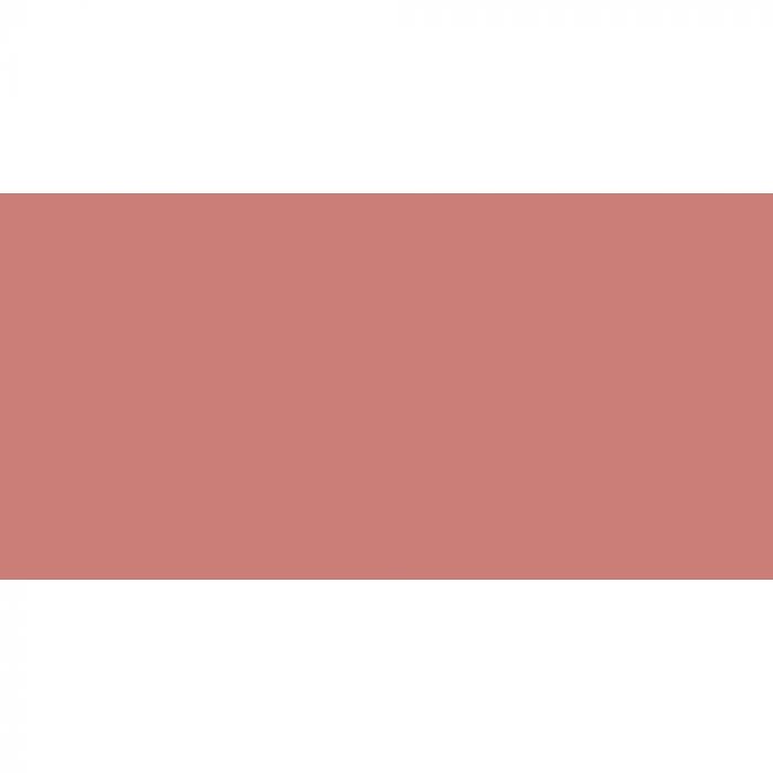 Caran d'Ache NeoColor II Burnt Sienna Vaxakvarellkrita