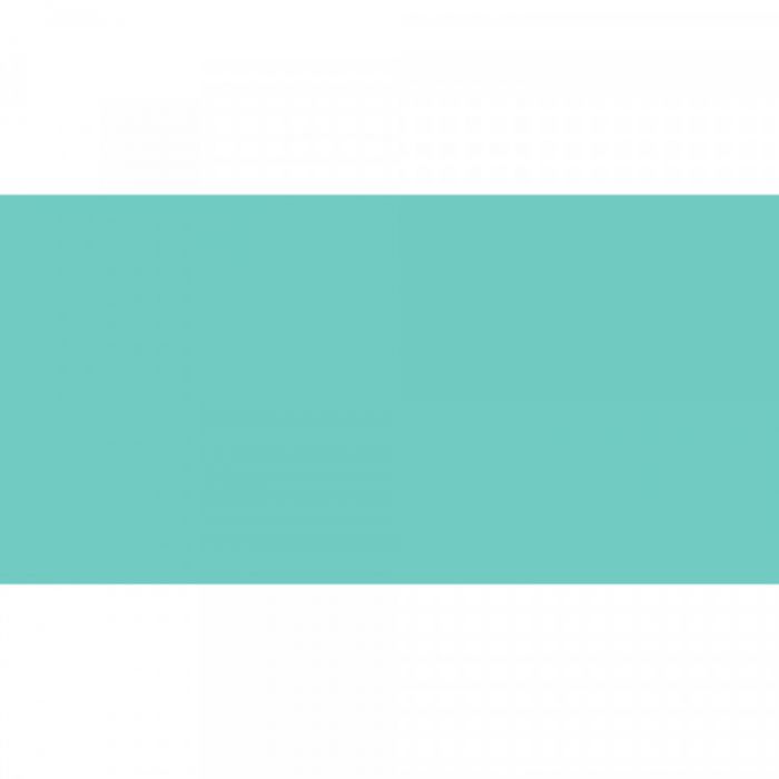 Caran d'Ache oljepastell (neo) Jade Green