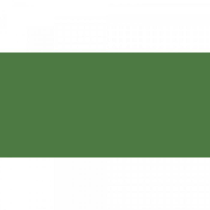 Caran d'Ache NeoColor II Cromium Oxid Green Vaxakvarellkrita