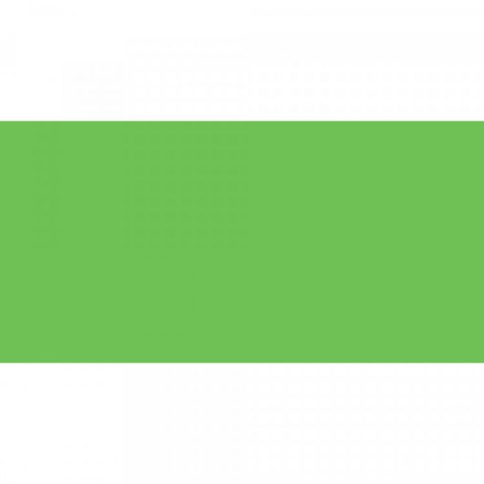 Caran d'Ache NeoColor II Bright Green Vaxakvarellkrita