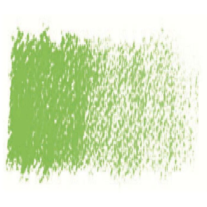 Extra Soft Pastel Koh-I-Noor permanent green
